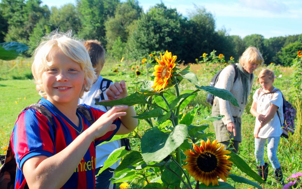 Specialklassen, i Økologiens Haves skolehave er vilde med havedagene. Foto: Ulla Skovsbøl